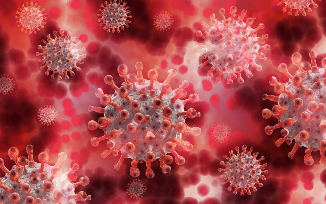 Coronavirus: Was ergibt sich aus den möglichen Mutationen?