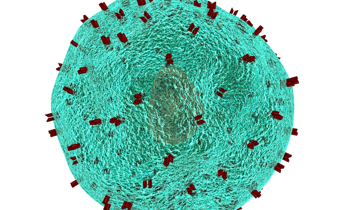Wie unsere Krankheiten immunologisch bekämpft werden