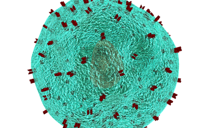 Wie unsere Krankheiten immunologisch bekämpft werden