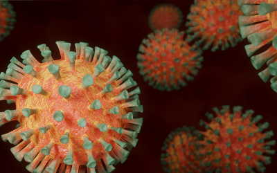 Stellungnahme des ExpertInnenrates der Bundesregierung zu COVID-19 – Erforschung von Long-/Post-COVID und klinische Versorgung