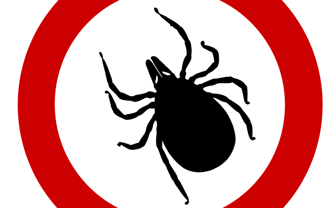 Es ist Zeckensaison (2) – die  Frühsommer-Meningoenzephalitis