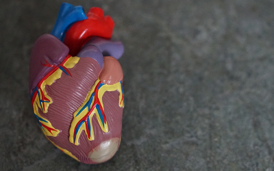 Vorhofflimmern und NOAKs