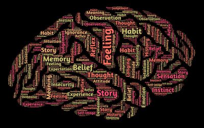 19. Januar 2022: Online-Seminar „Vergessen -wie funktioniert unser Gehirn?“