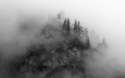 Grauer Star und Demenz