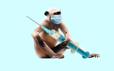 Affenpockenvirus: News vom 25.05.2022