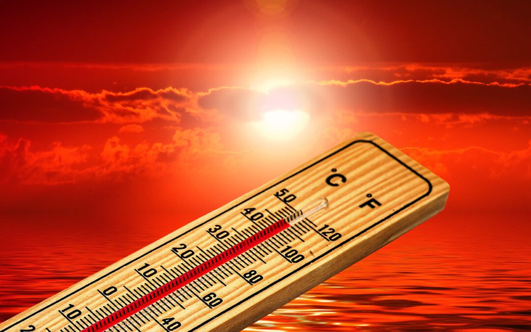 Gut durch den heißen Sommer kommen