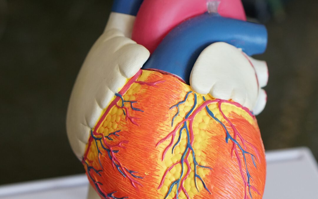 Risiko eines plötzlichen Herztodes durch MRS erkennen?
