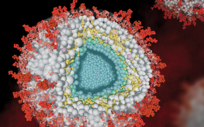 Herpesviren: Forschung zur Interaktion mit den Wirtszellen